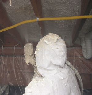 Jacksonville FL crawl space insulation